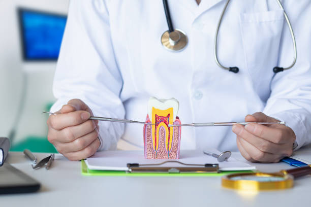 Best Emergency Root Canal Treatment in Glenside, PA